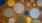a wall of circles